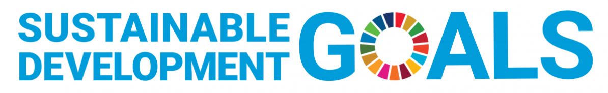 SDG Logo